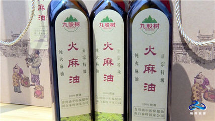 略阳县“巾帼脱贫·青年创业”扶智行动暨手工艺品助力消费扶贫活动圆满举行
