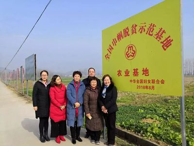 微新闻 | 市妇联